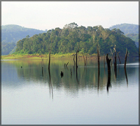Devbagh Beach Resort