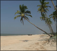 Devbagh Beach Resort