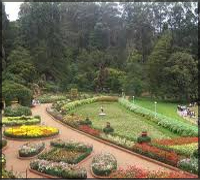Rose Garden