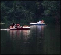 Madumalai National Park