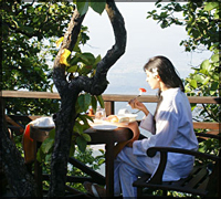 Falcon Tours and Travels