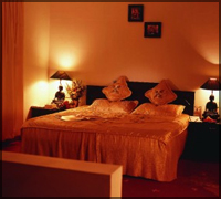 Falcon Tours and Travels