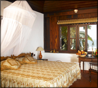 Falcon Tours and Travels