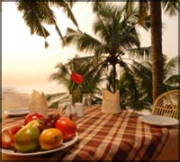 Falcon Tours and Travels