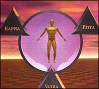 Falcon Tours and Travels