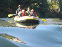 Falcon Tours and Travels