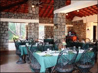 Falcon Tours and Travels