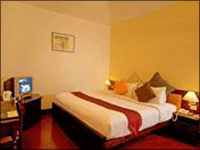 Falcon Tours and Travels