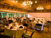 Falcon Tours and Travels