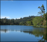 Star Shaped Lake