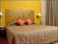 Falcon Tours and Travels