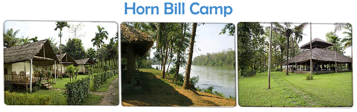 Eco Friendly Resorts