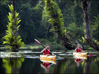 Falcon Tours and Travels