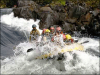 Falcon Tours and Travels