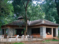 Falcon Tours and Travels