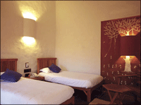 Falcon Tours and Travels