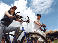 Falcon Tours and Travels