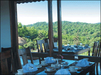 Falcon Tours and Travels