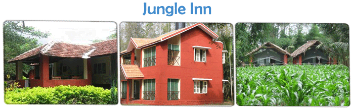 Eco Friendly Resorts
