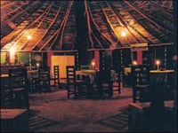 Falcon Tours and Travels