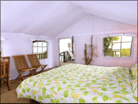 Falcon Tours and Travels