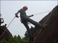 Falcon Tours and Travels