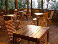 Falcon Tours and Travels