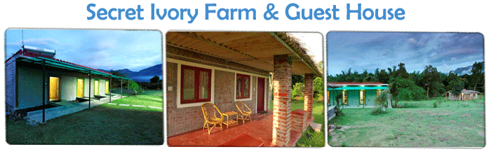 Eco Friendly Resorts