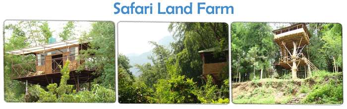 Eco Friendly Resorts