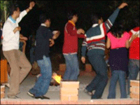 Falcon Tours and Travels