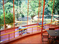 Falcon Tours and Travels