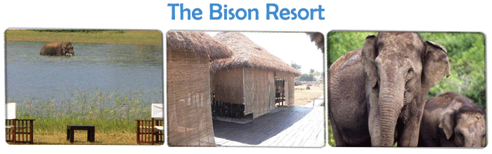 Eco Friendly Resorts