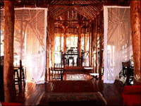 Falcon Tours and Travels