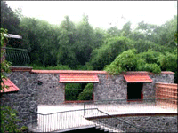 Falcon Tours and Travels