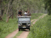 Falcon Tours and Travels