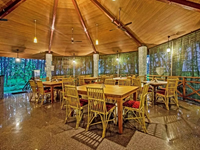 Falcon Tours and Travels