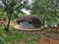 Falcon Tours and Travels