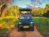 Falcon Tours and Travels
