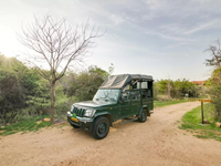 Falcon Tours and Travels