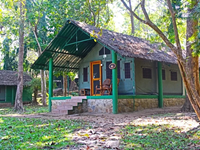 Falcon Tours and Travels