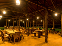 Falcon Tours and Travels