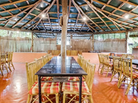 Falcon Tours and Travels