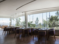 Falcon Tours and Travels